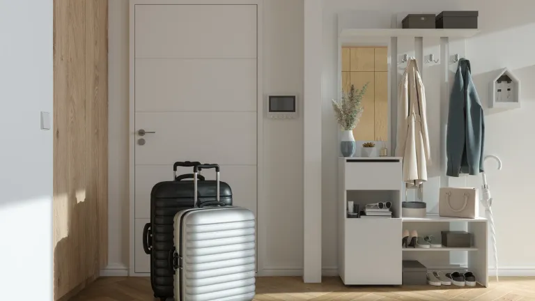 Two suitcases standing in a bright hallway by the front door